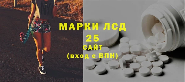 стафф Новодвинск