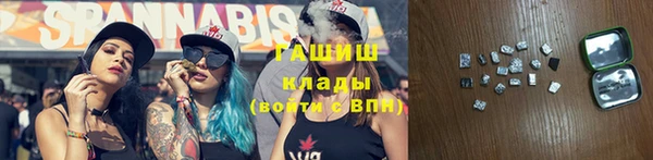 мдпв Няндома