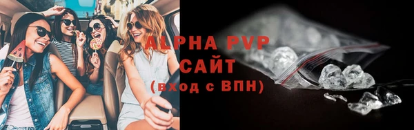 стафф Новодвинск