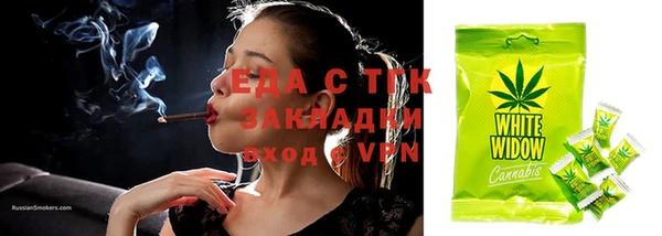 стафф Новодвинск