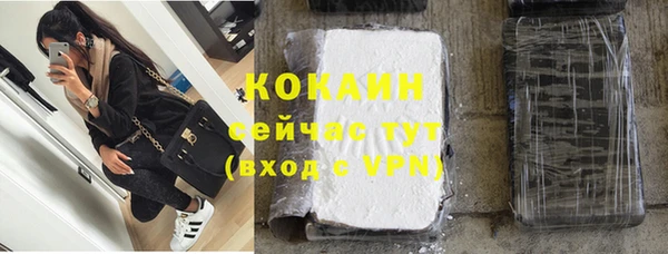 мдпв Няндома