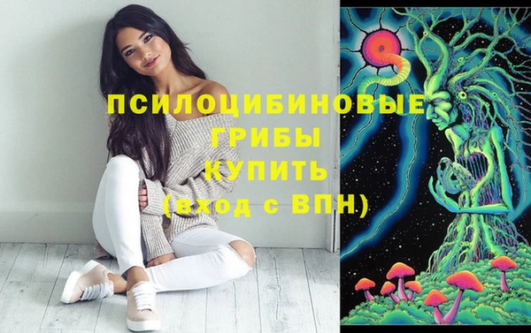 прущая мука Новозыбков