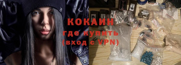 стафф Новодвинск