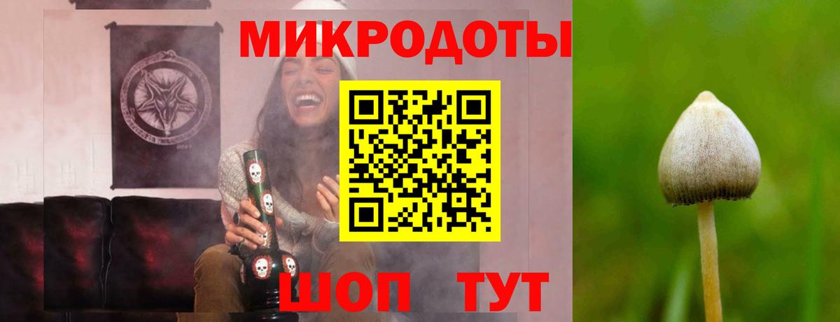 Галлюциногенные грибы Psilocybe Аша