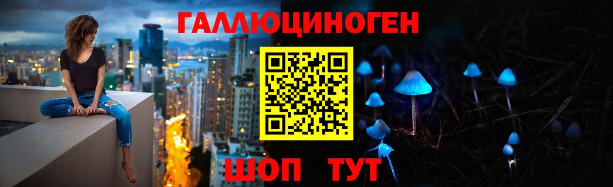 Псилоцибиновые грибы MAGIC MUSHROOMS  Аша  Псилоцибиновые грибы GOLDEN TEACHER 